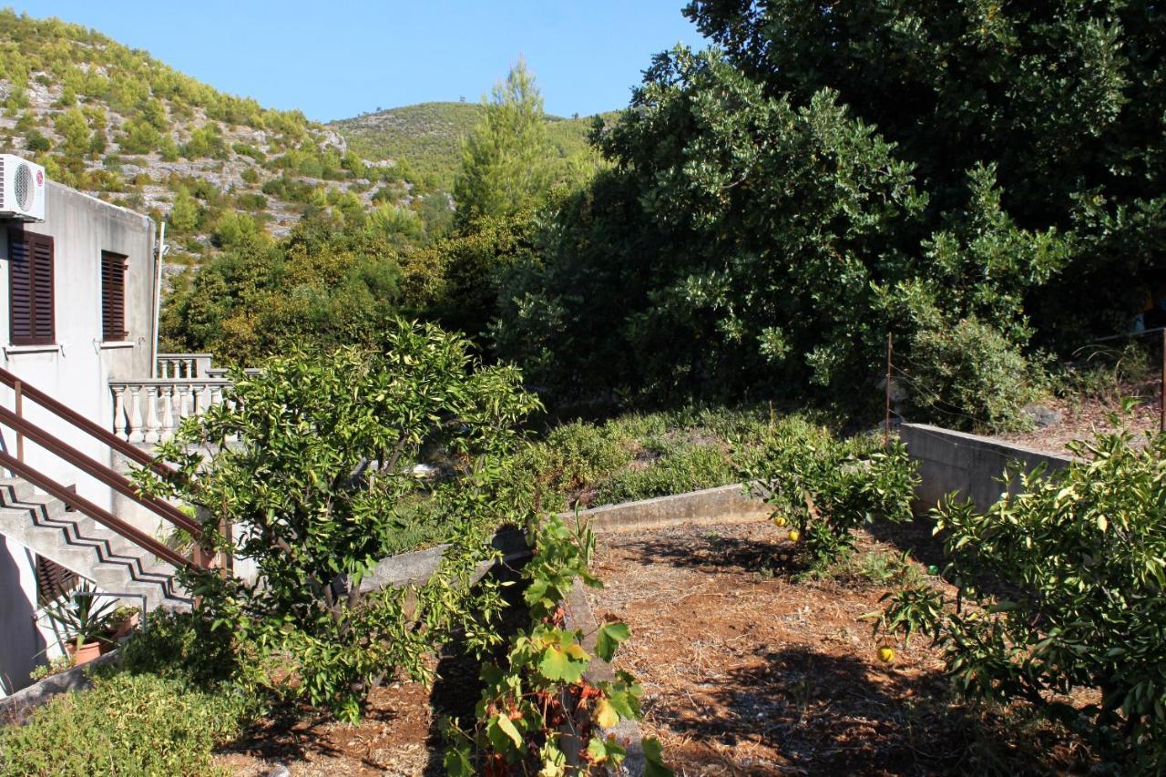 Apartments With A Parking Space Prizba, Korcula - 219 Εξωτερικό φωτογραφία